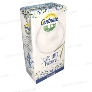 Centrale Danone Laban 1L