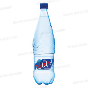 Oulmès Eau Gazeuse 1L